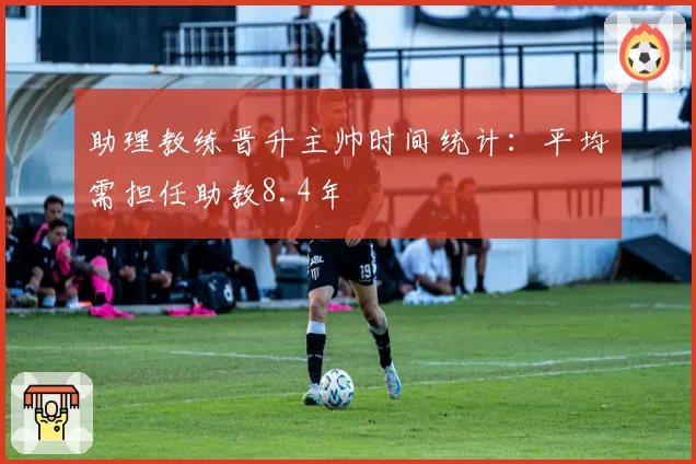 助理教练晋升主帅时间统计:平均需担任助教8.4年