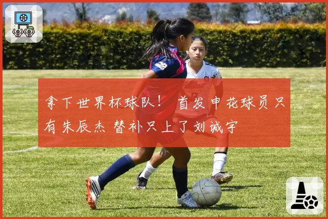 拿下世界杯球队！ 首发申花球员只有朱辰杰 替补只上了刘诚宇