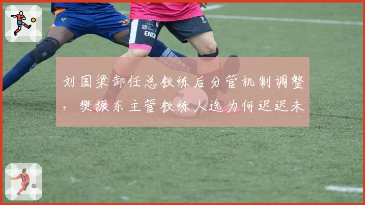刘国梁卸任总教练后分管机制调整，樊振东主管教练人选为何迟迟未定？